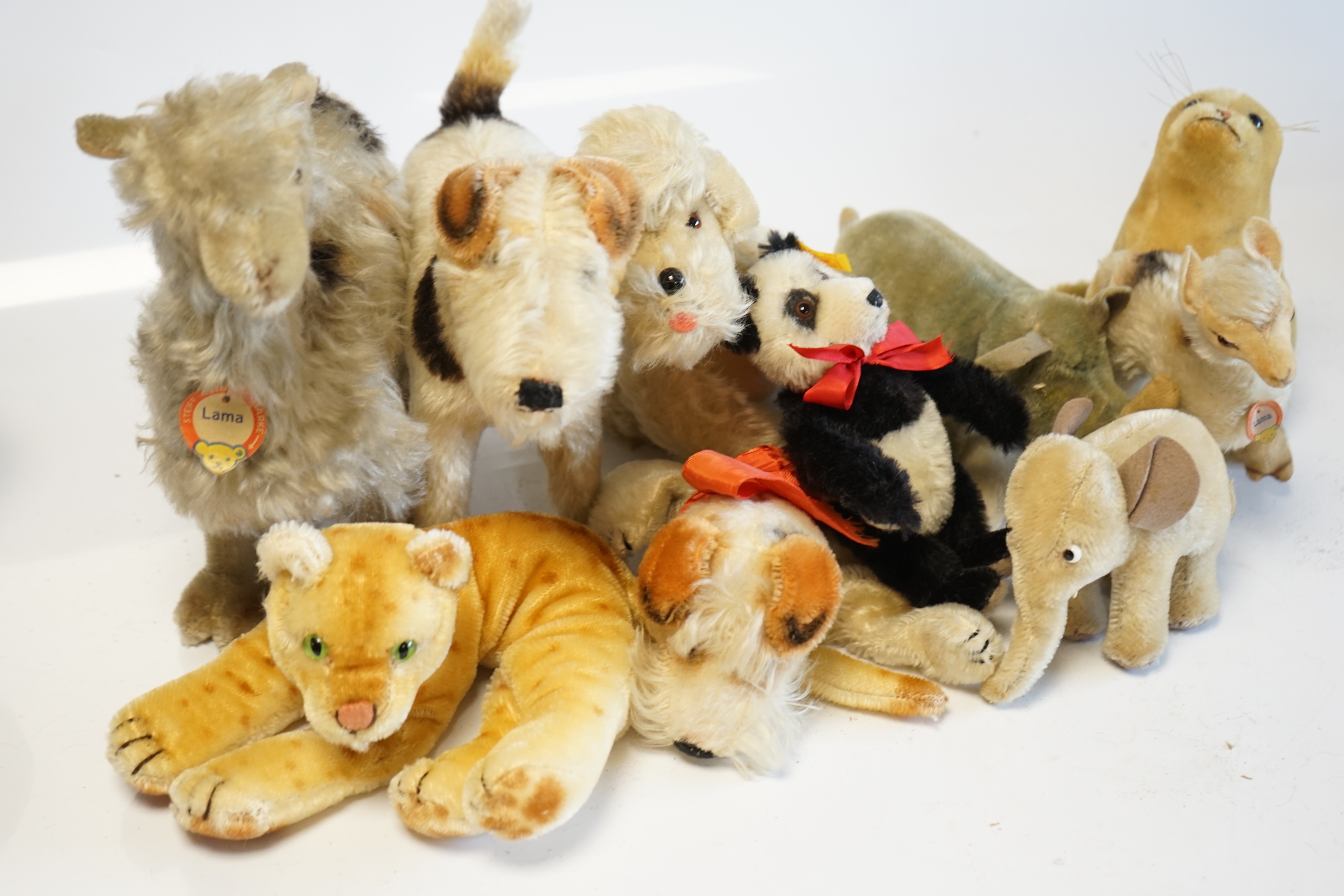 Ten assorted 1960's Steiff animals, some with I.D., some not, including Foxy the terrier and a Panda Teddy Baby. Condition - fair